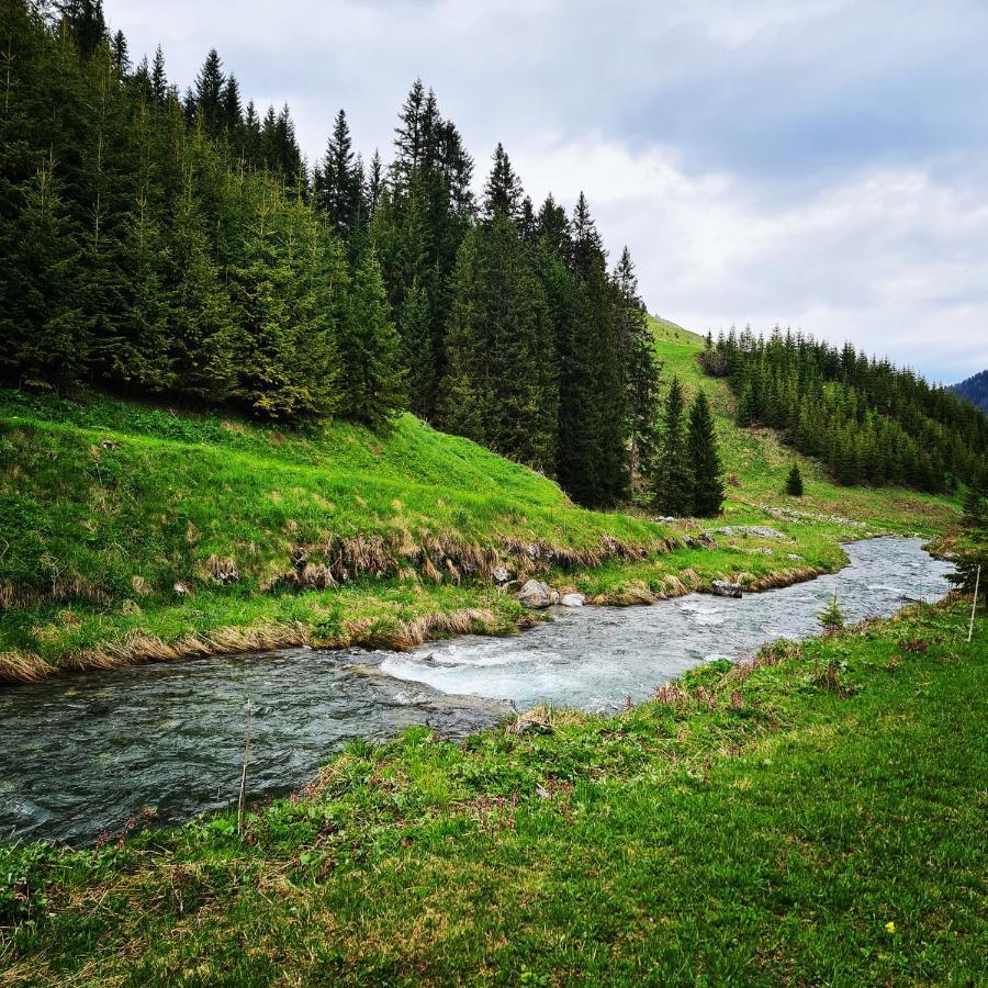 Fewo D'Rock Arosa- Center Of Nightlife By Nature Apartments Switzerland Luaran gambar