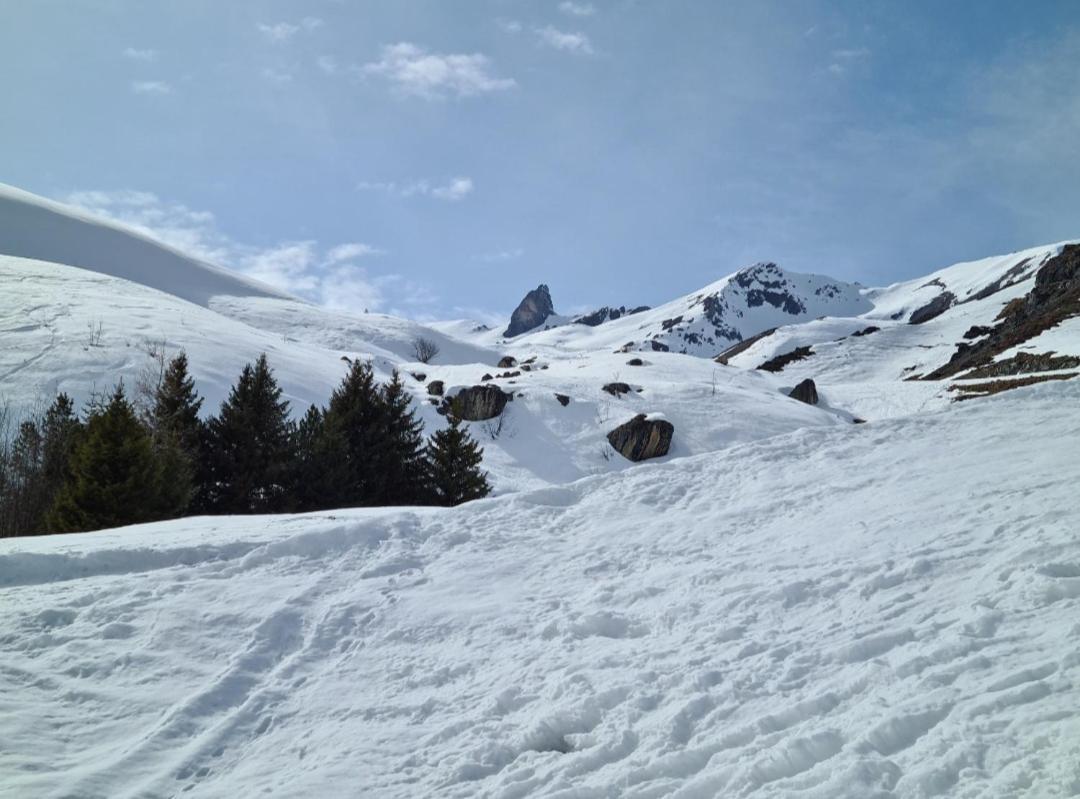 Fewo D'Rock Arosa- Center Of Nightlife By Nature Apartments Switzerland Luaran gambar